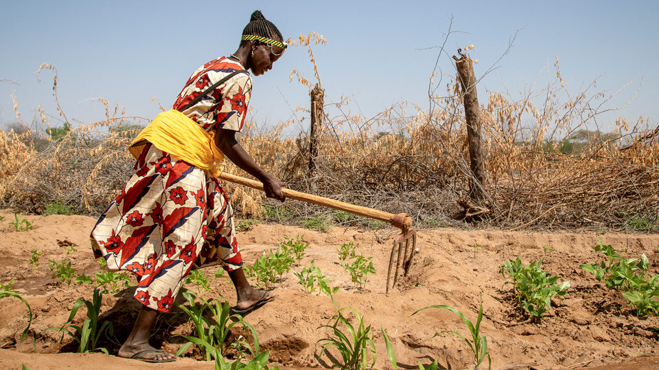 Woman tills soil.