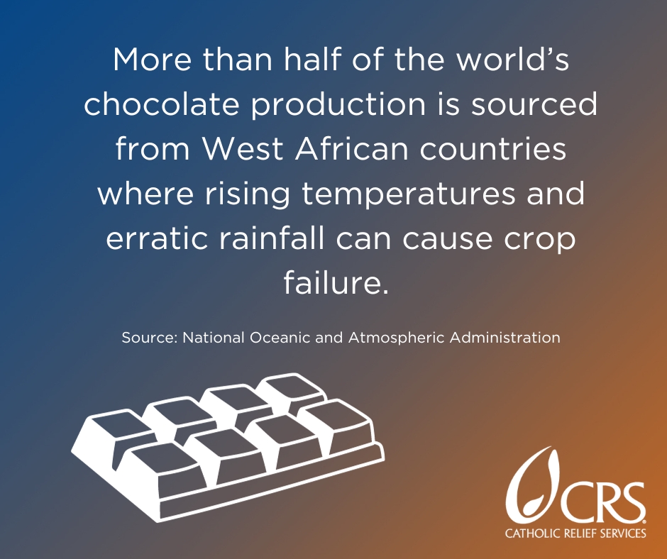 More than half of the world’s chocolate production is sourced from West African countries where rising temperatures and erratic rainfall can cause crop failure | graphic image by CRS