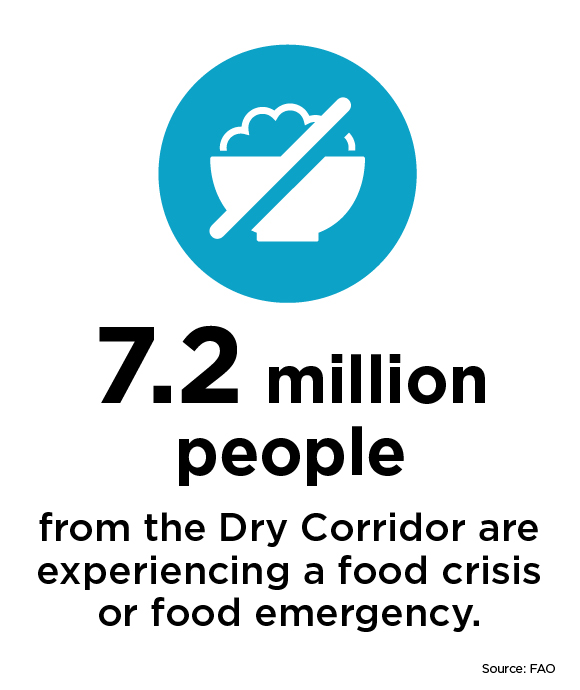 7.2 million people from the Dry Corridor are experiencing a food crisis or food emergency.