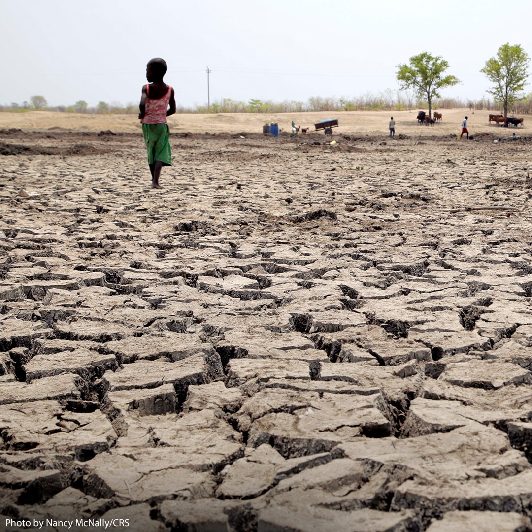 Child stands looking around at increasingly barren environment.