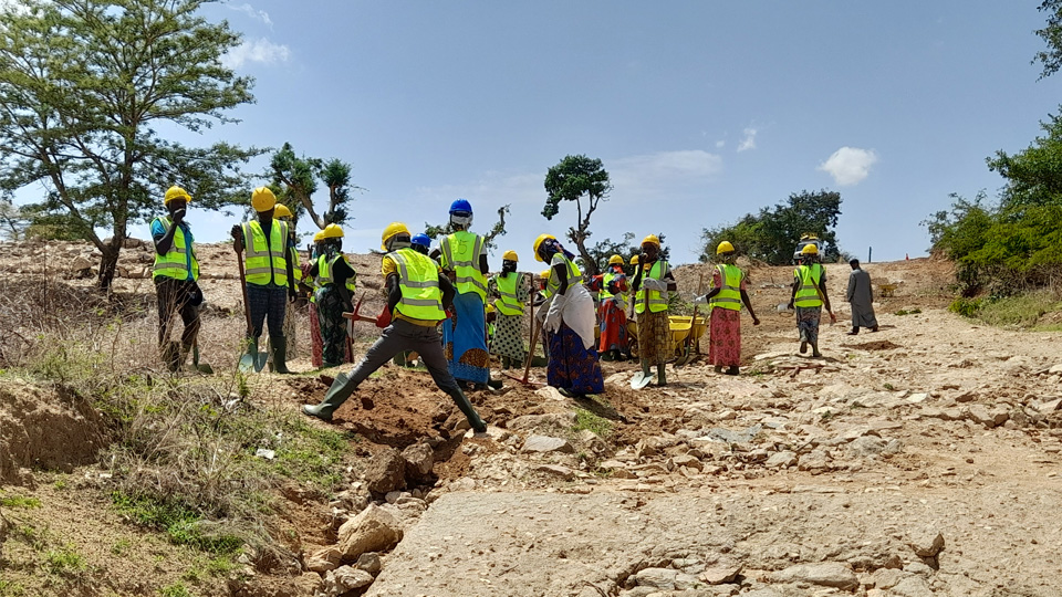 Workers standing in a field