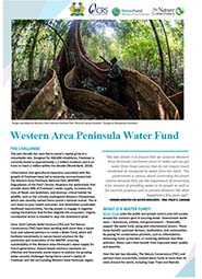 Freetown western area peninsula water fund