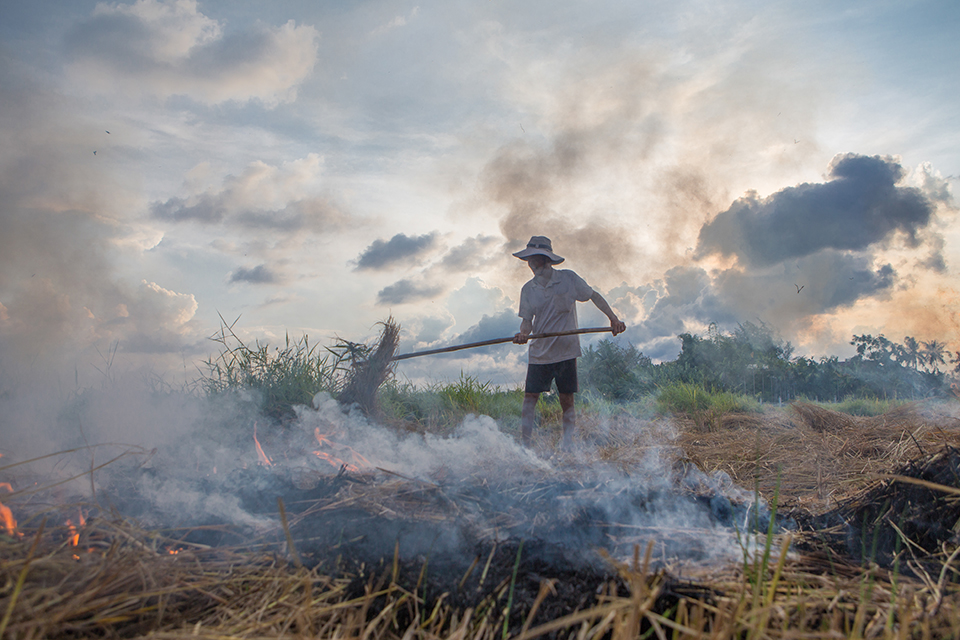 This photo is part of CRS' best photos of 2018, it's climate change and agriculture in vietnam.