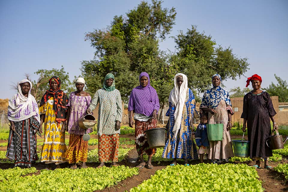 womens saving group stand in a garden plot in Mali
