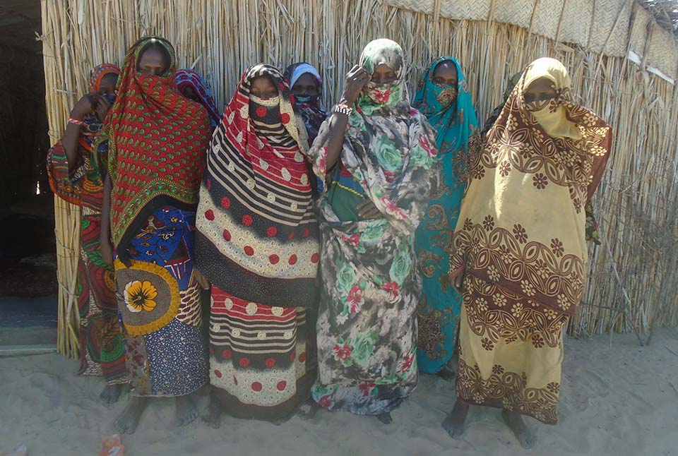 agroeconomic cooperative women standing together in Chad