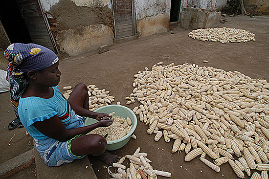 Through a CRS-supported cooperative program in Angola, farmers access cheaper seed and fertilizer by using communal funds to purchase bulk supplies. Photo by David Snyder/CRS