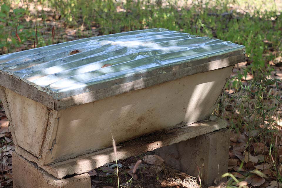 beehive in Benin