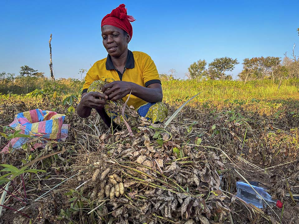 Central African Republic farmer in her field
