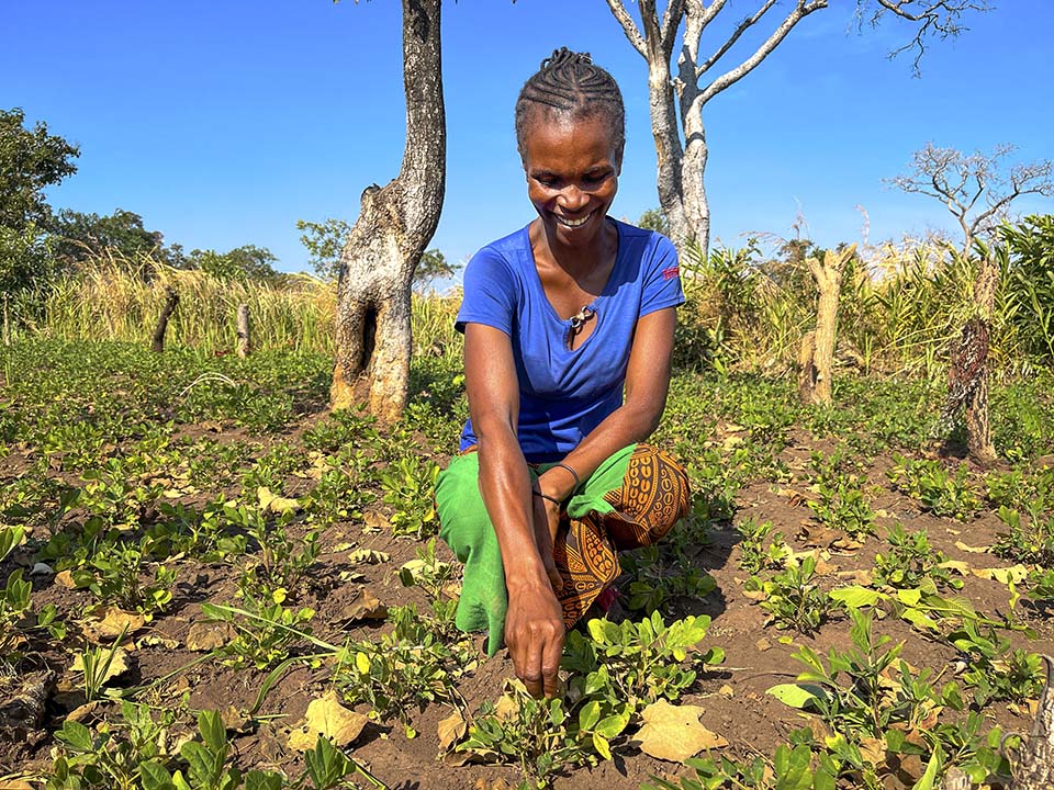 Central African Republic farmer in her garden plot