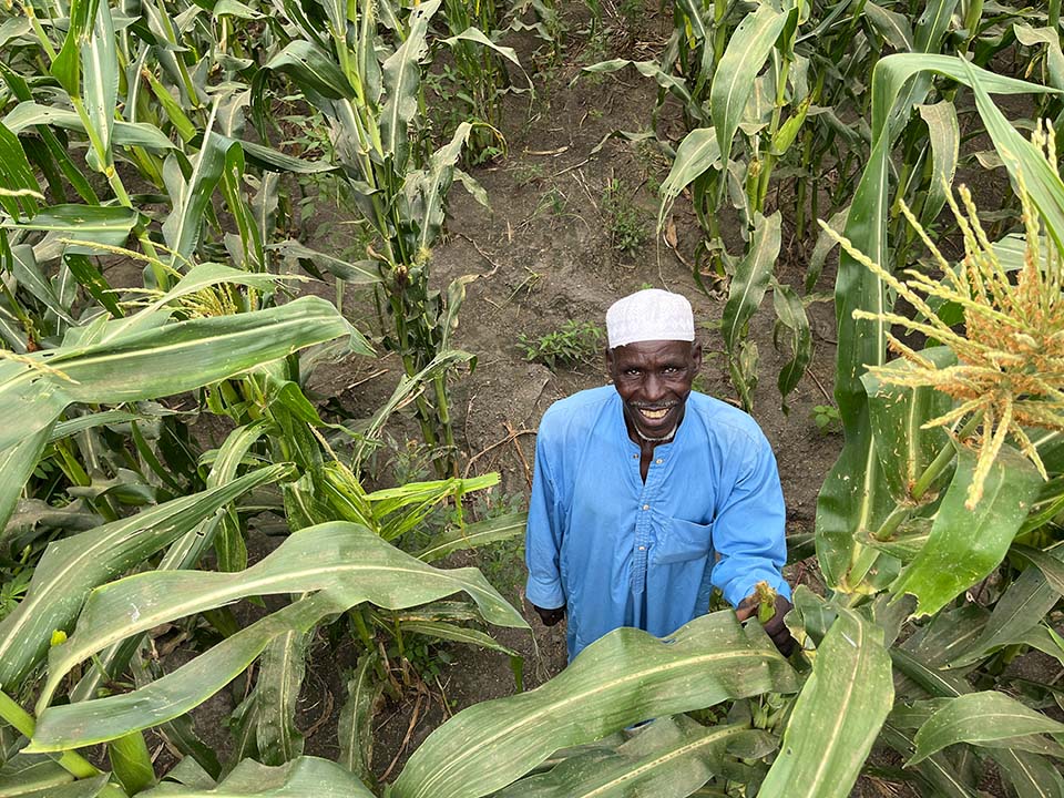 Chad farmer in field in Bol