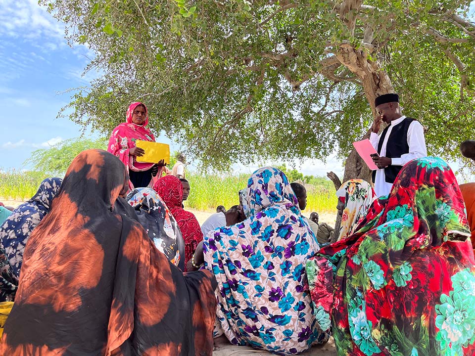 neighbors meet under tree in Chad