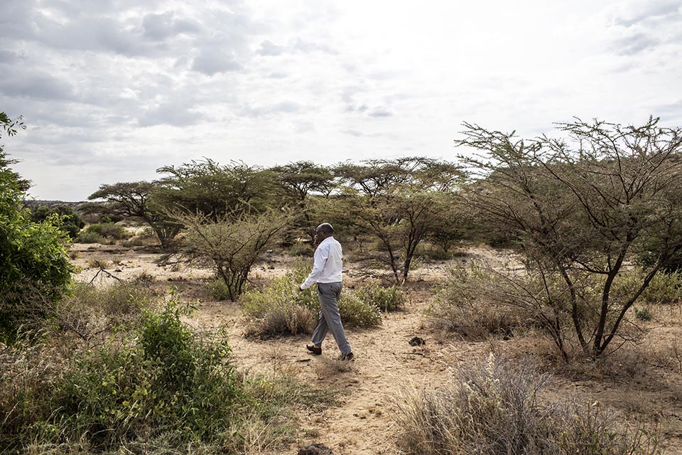 checking field in Kenya