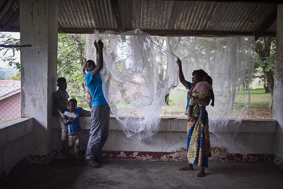 Republic of Congo couple hang bed net