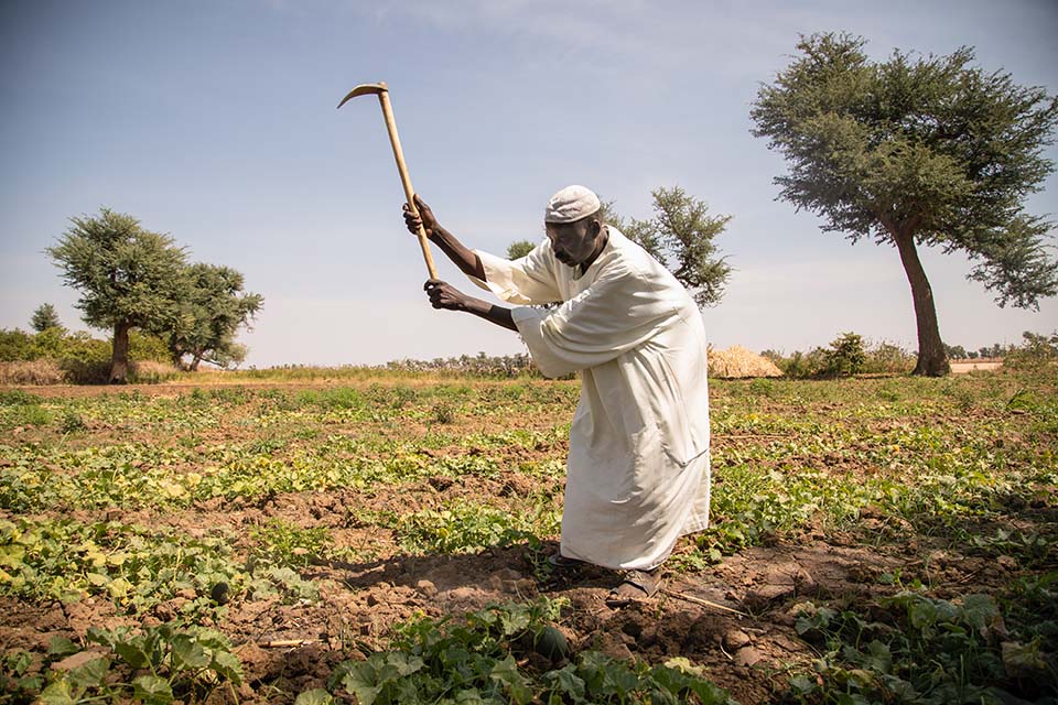 Darfur farmer with hoe