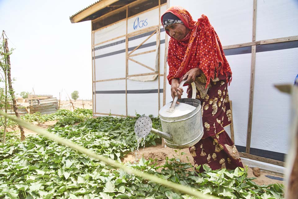 displaced Nigerian watering garden