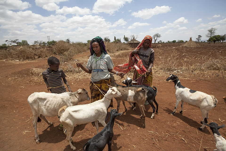 Reason for foreign aid #5: Mitigate the devastating impact of drought in Ethiopia by providing new farming practices and technologies