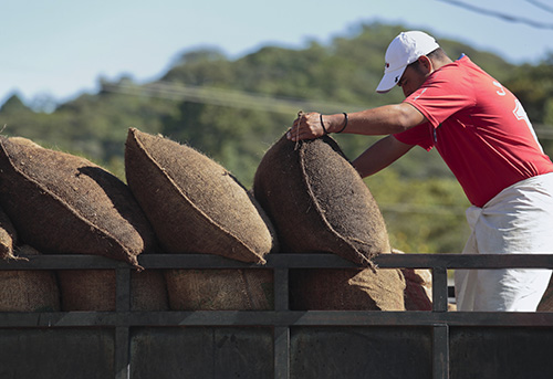 A worker in El Salvador loads bags of dried coffee beans destined for a local processing plant. Photo by Oscar Leiva/Silverlight for CRS