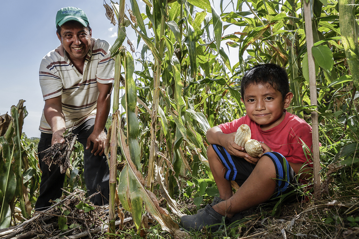 CRS works with farmers to apply new agricultural techniques that lead to better harvests. Photo by Carlos Cajal/Silverlight for CRS