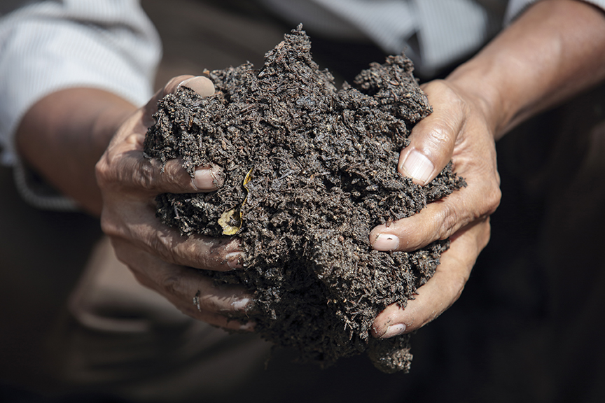 Simón Leonidas Pérez holds organic fertilizer that he will use to help his cocoa plants thrive. He learned how to make the compost through a CRS initiative to establish agro-forestry systems in El Salvador. Photo by Oscar Leiva/Sliverlight for CRS