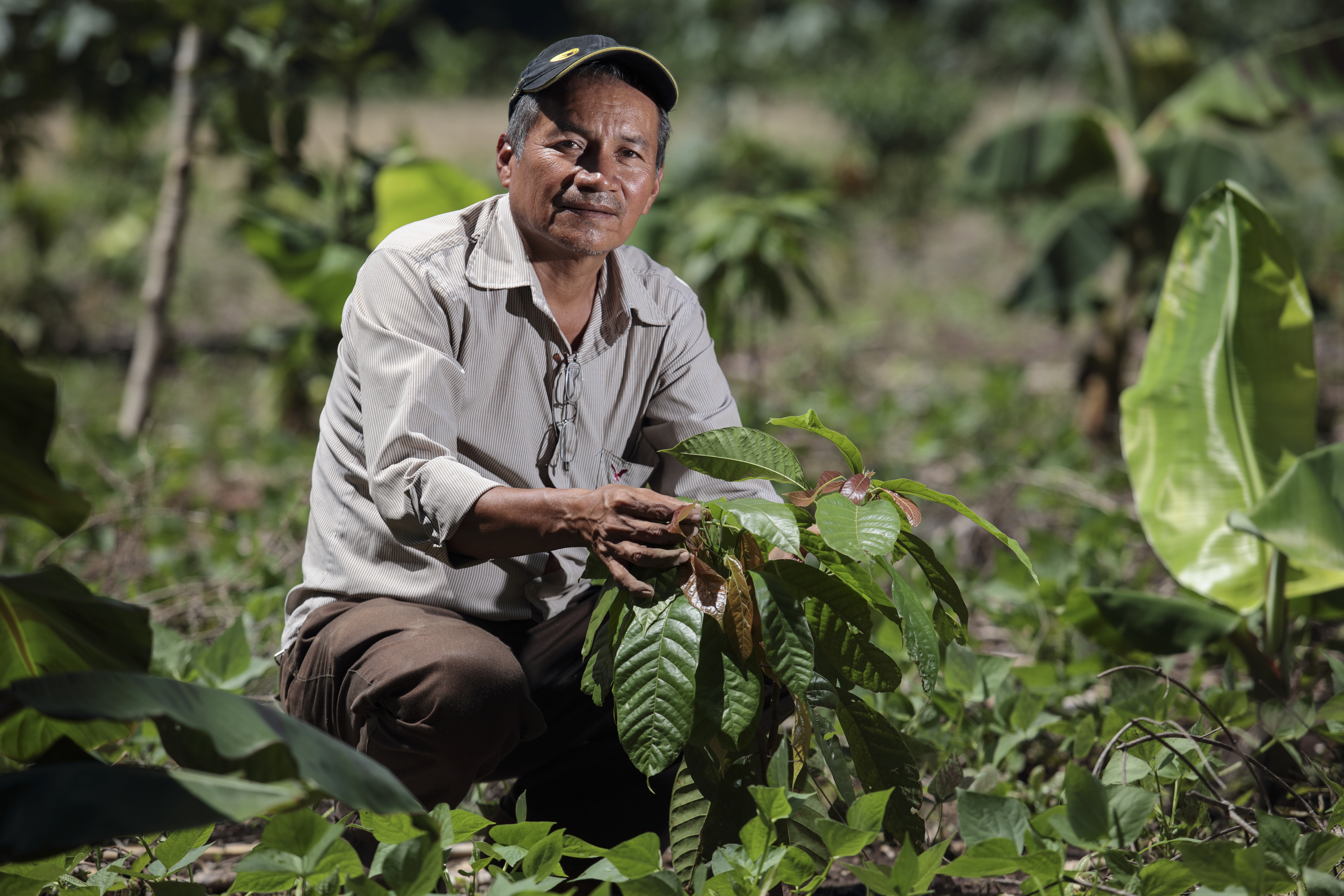 Simon Perez shows off his newly planted cacao trees. Photo by Oscar Leiva/Silverlight for CRS