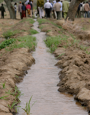 In the community of Dire Kiltu, in the Meki diocese, residents dug terraces that hold in the rain when it does come, raising the water table. Photo by Jim Stipe/CRS