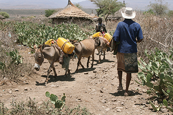 A CRS project is helping dried up villages like Meiso, home to Jemal Bedhaso, reduce the effects of climate change. Photo by Kim Pozniak/CRS