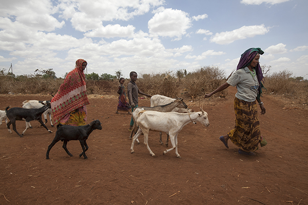 Fatuma is one of the millions of Ethiopians severely affected by the worst drought in 50 years. Thanks to a CRS program helping families reduce their vulnerability, she can now better withstand such crises and even buy enough food for her family. Photo by Petterik Wiggers for CRS