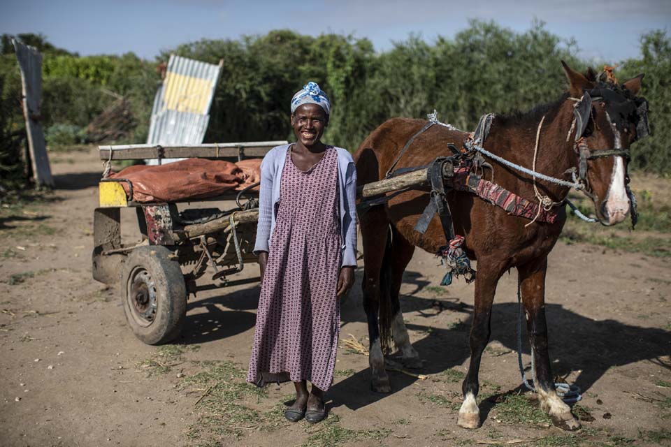 Ethiopian farmer with horse cart