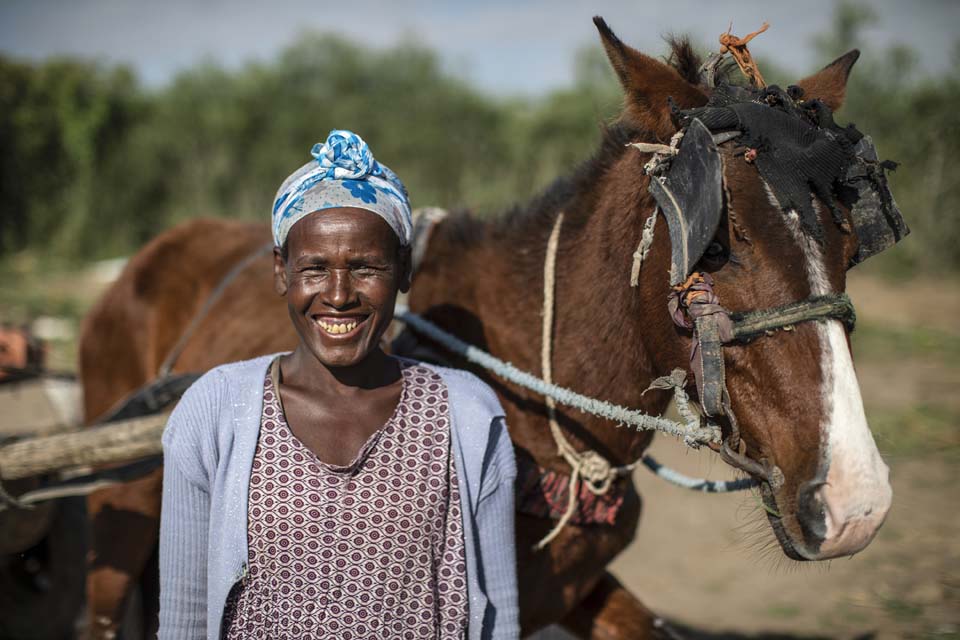 Ethiopian farmer with horse cart