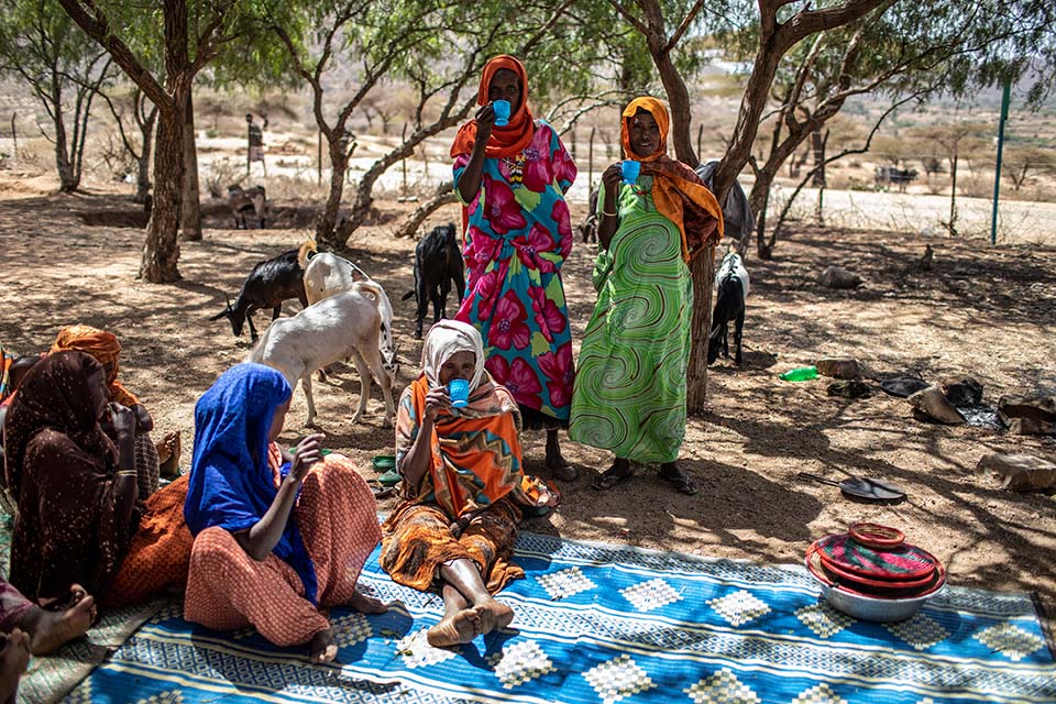 Ethiopian women involved in food security activities