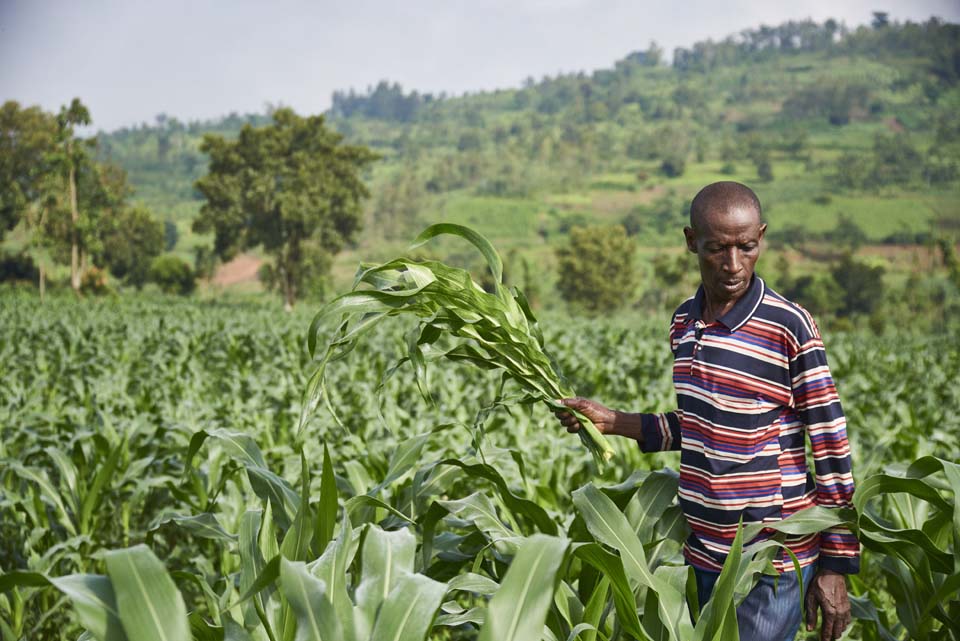 Rwanda farmer