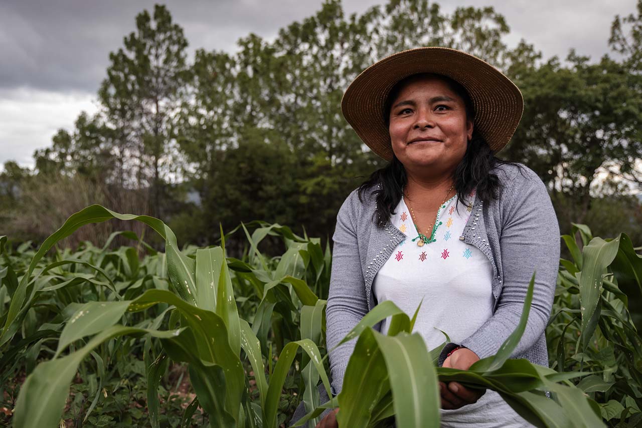 farmer in field in Mexico