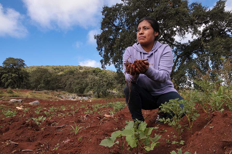 farmer in Mexico examines soil sample