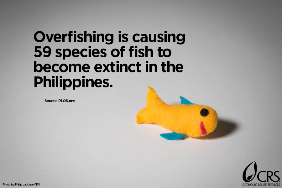Overfishing is causing 59 species of fish to become extinct in the Philippines.