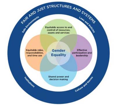 gender conceptual framework