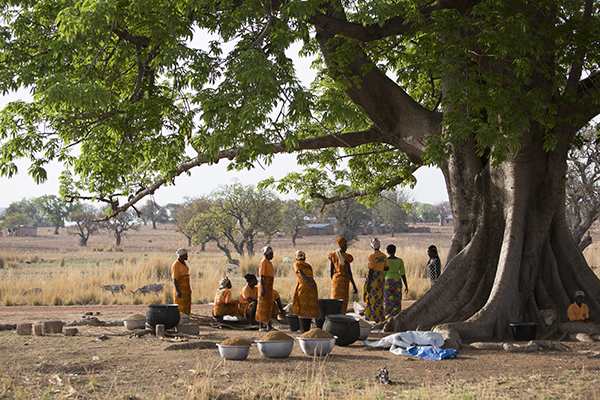 Members of a CRS-supported savings group process rice together in Ghana. The women began the value-added rice process when weather patterns changed and inhibited their ability to earn livelihoods through farming alone. Photo by Jake Lyell for CRS