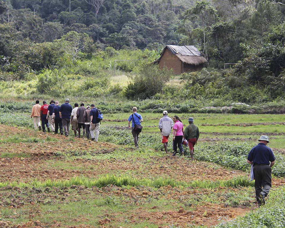 global fellows walking in Madagascar