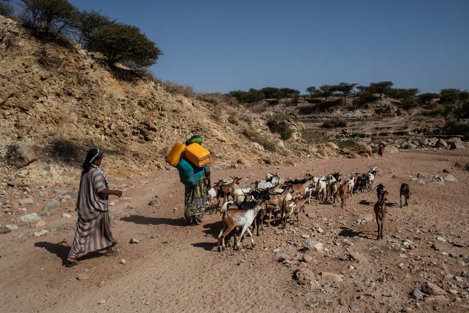 Improving Soil and Water Access in Ethiopia CRS