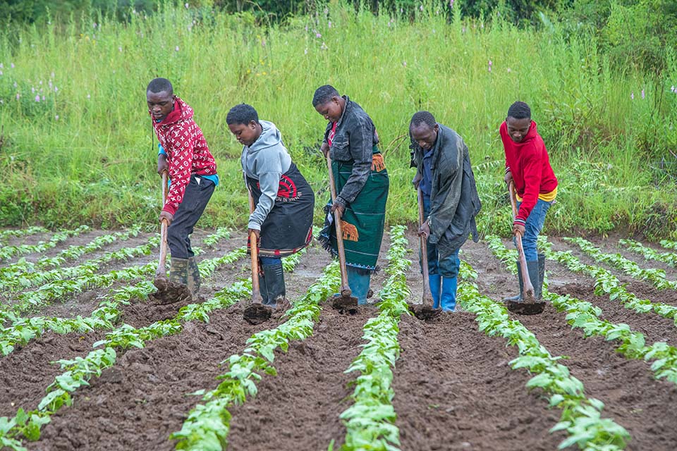 group works field in Tanzania