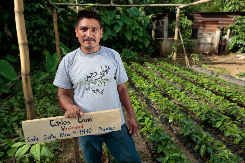 Carlos Cano with the seedlings he is growing. CRS helps coffee farmers in Guatemala bounce back from the devastation caused by coffee leaf rust. Photo by Oscar Leiva/Silverlight for CRS