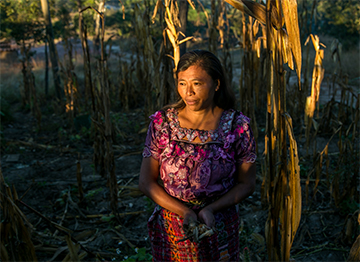 Photo by Phil Laubner/CRS Cristina Garcia and her family live in Guatemala’s Dry Corridor, where rainfall fluctuation and climate change have drastically reduced crop yields.