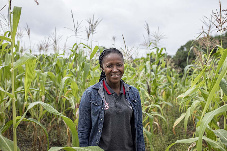 head of the Suakoko Rural Women Cooperative Society in Liberia