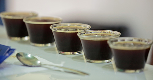 Coffee samples prepared for the process of “cupping” – the term for assessing the the quality of a given coffee. Photo by Oscar Leiva/Silverlight for CRS