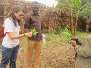 Jerica with Janvier, the food security team leader, and a coffee grower, right, in the Keurig Green Mountain project, who shows one of his crop seedlings. The project helps farmers improve agriculture and business practices to grow their livelihoods.