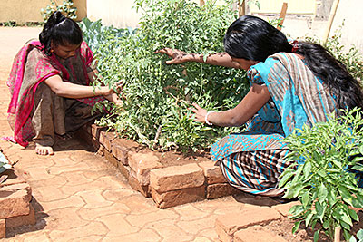 Two girls in India check on the vegetables they tend at CRS partner Prerana's home for girls in need of protection. Photo by Jennifer Hardy/CRS