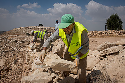 Photo by Karen Kasmauski for CRS In the West Bank, Palestinian men involved in a CRS food voucher program clear roads for farmers, and in exchange, receive a voucher that helps them feed their families. Photo by Karen Kasmauski for CRS
