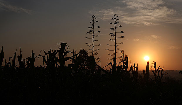 The sun rises over the village of Rabango, Kenya. Photo by Sara A. Fajardo/CRS