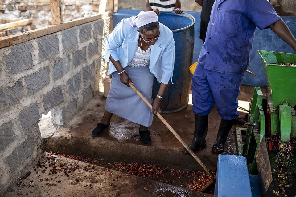 coffee wet mill in Kenya