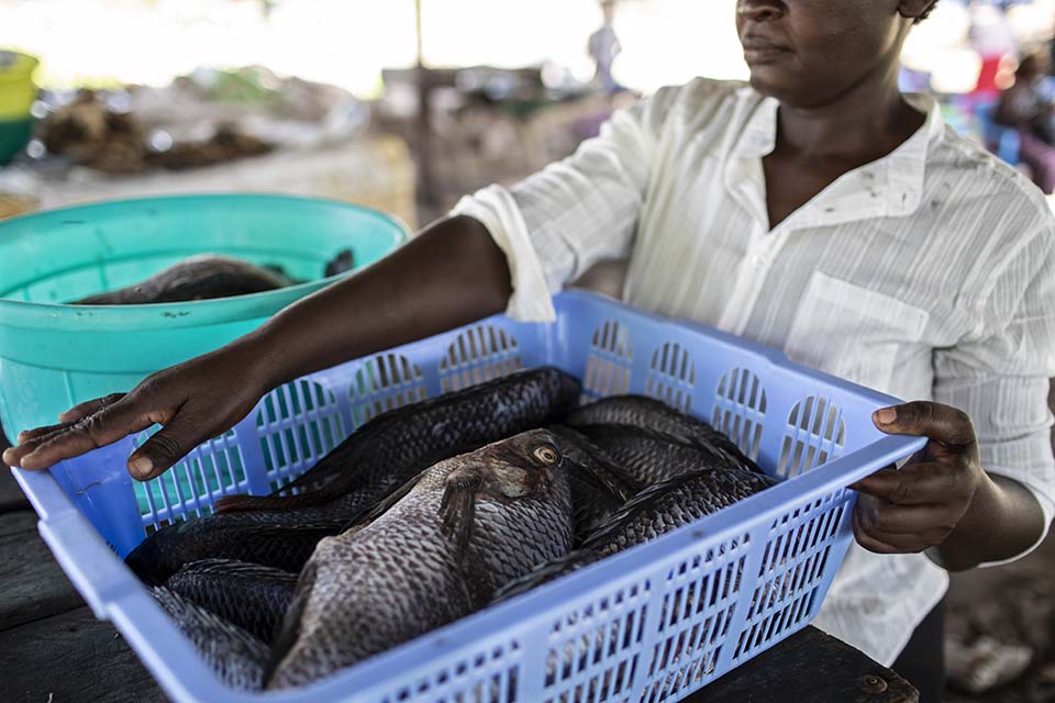 Kenya woman taking fish to market