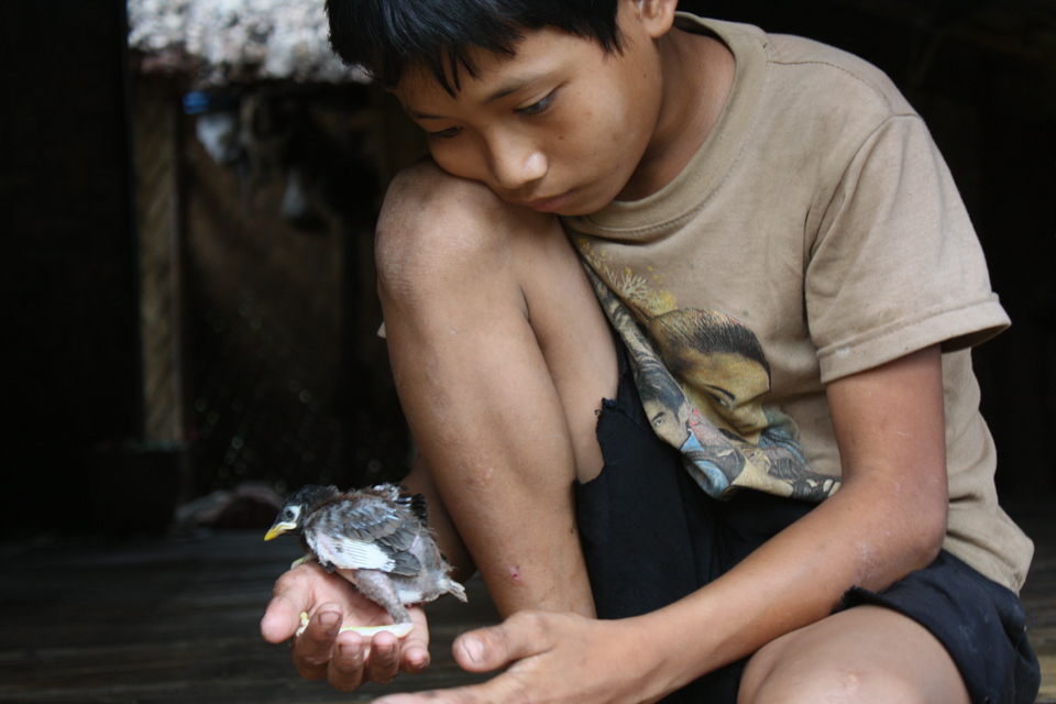 boy with bird in Laos